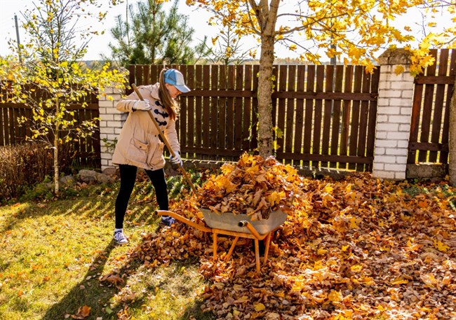 The landcaping supplies you need for a tidy winter garden